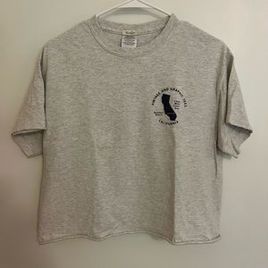 Pacsun Gray Cropped Tee